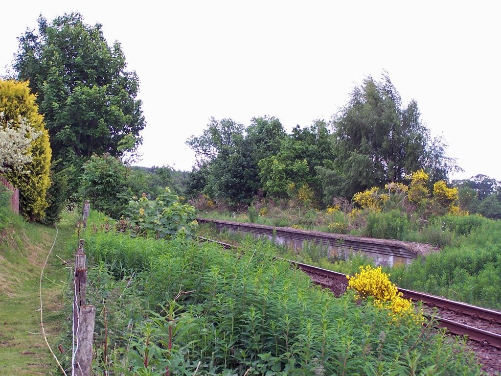 Conon Bridge station (former). This overgrown platform is almost all that now remains of Conon Bridge station, which was an intermediate station on the Inverness - Wick and Thurso ('Far North') line of the (former) Highland Railway. The station was opened (by the Inverness and Ross-shire Railway) on 11 June 1862. It closed to regular passenger traffic on 13 June 1960, the line itself remaining in use. See also File:Site of Conon Bridge station - geograph.org.uk - 1925319.jpg. Near to Conon Bridge, Highland, Great Britain.