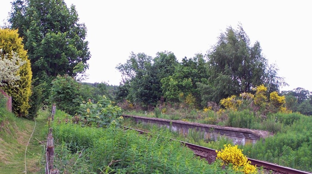 Conon Bridge station (former). This overgrown platform is almost all that now remains of Conon Bridge station, which was an intermediate station on the Inverness - Wick and Thurso ('Far North') line of the (former) Highland Railway. The station was opened (by the Inverness and Ross-shire Railway) on 11 June 1862. It closed to regular passenger traffic on 13 June 1960, the line itself remaining in use. See also File:Site of Conon Bridge station - geograph.org.uk - 1925319.jpg. Near to Conon Bridge, Highland, Great Britain.
