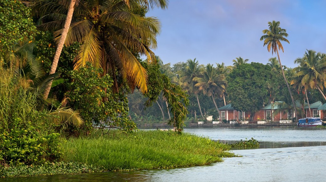 Houseboat in Kerala, India