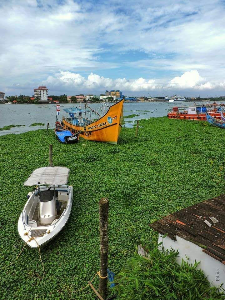 Harbour view from Hotel & Restaurant 51 