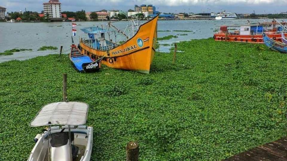 Harbour view from Hotel & Restaurant 51