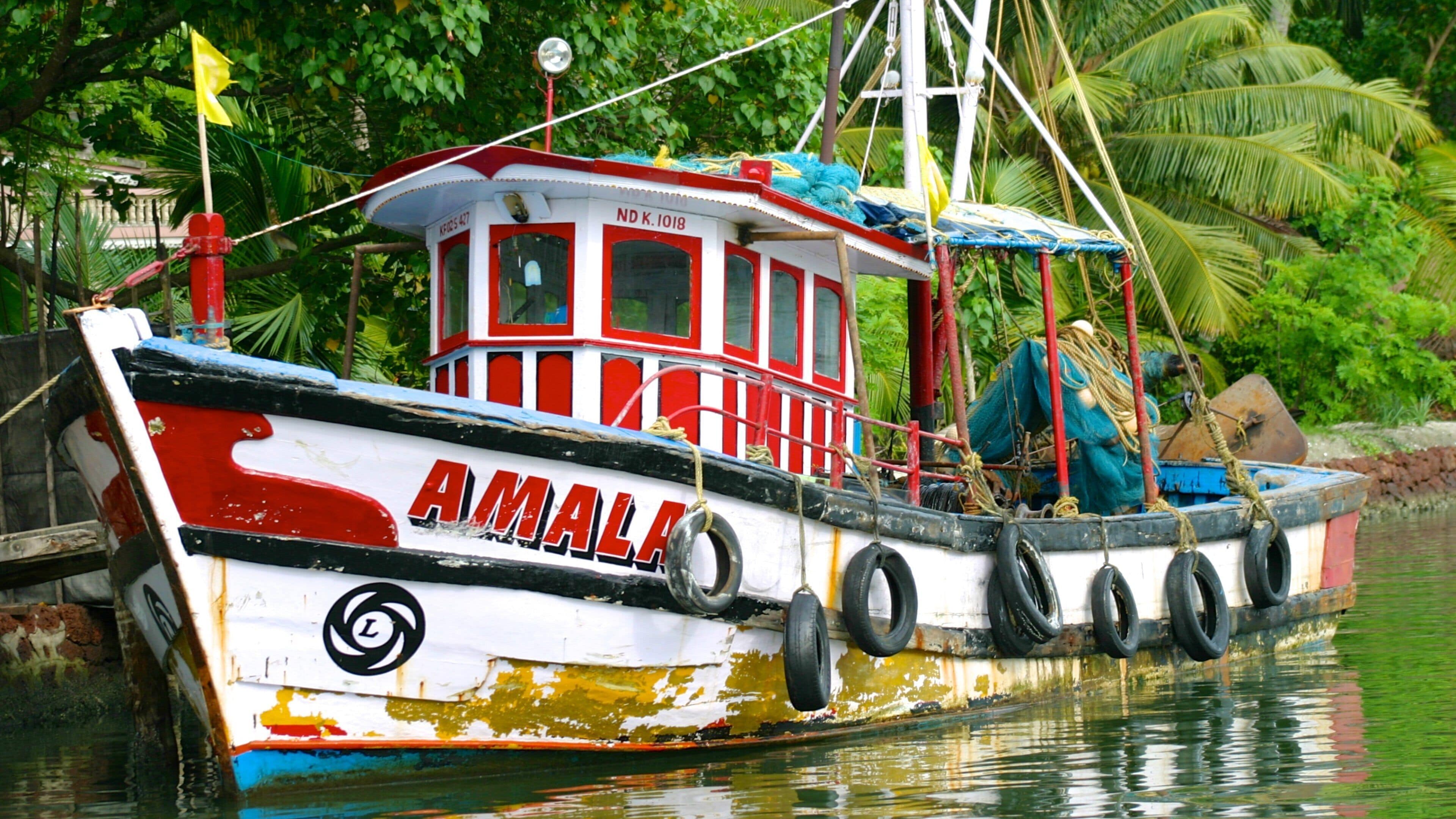 Kochi mit einem Bootfahren und Fluss oder Bach