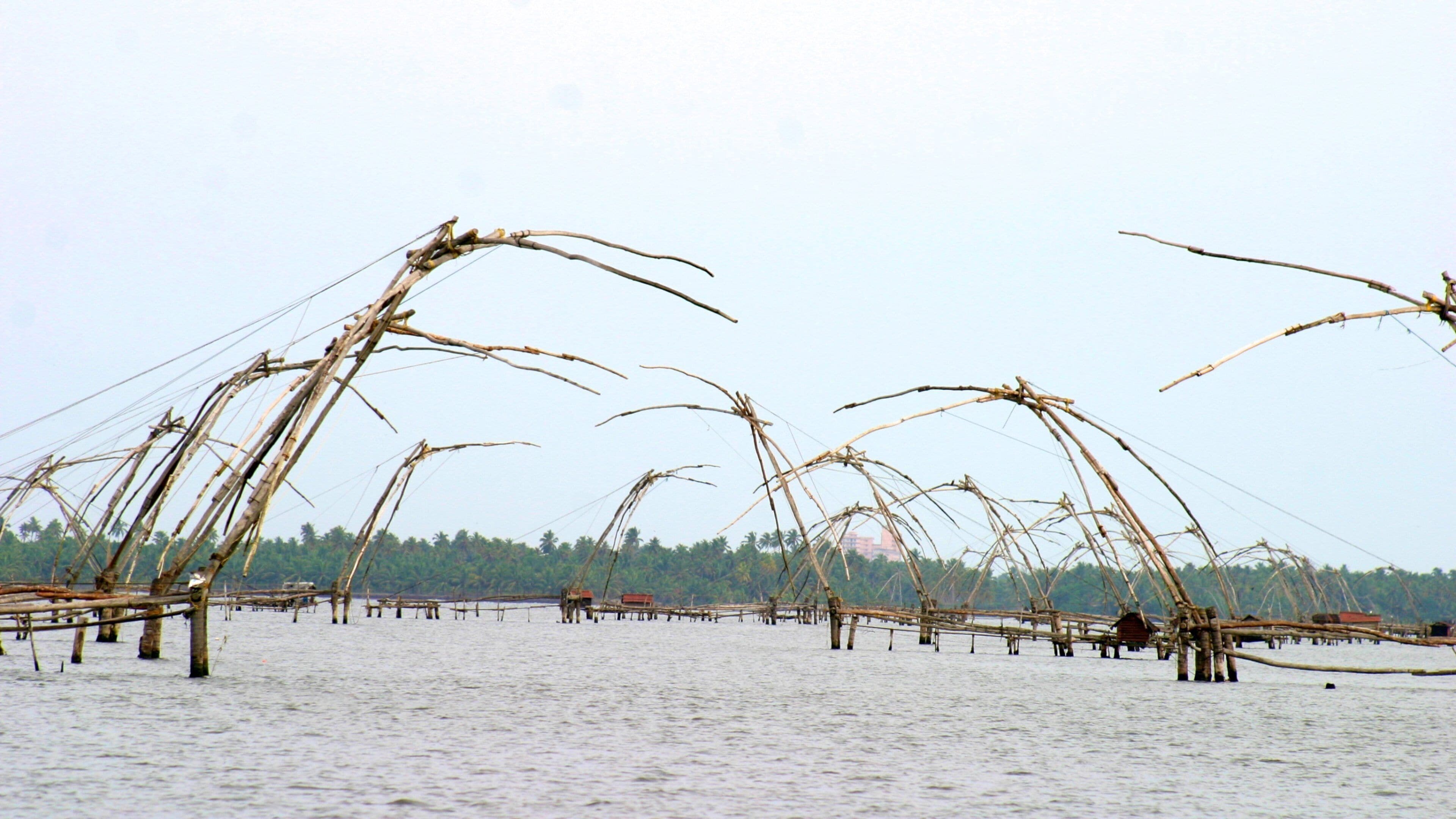 Cochin showing general coastal views