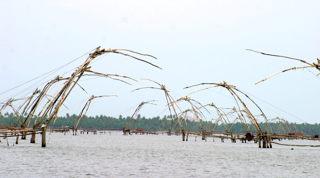 Cochin showing general coastal views