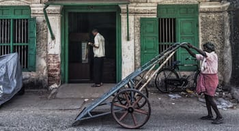 One of my favourite things to do while in Fort Kochi is cycling through Mattancherry. You can spot so many old warehouses and also, pay a visit to Jew Town. There's is so much of history in one place!