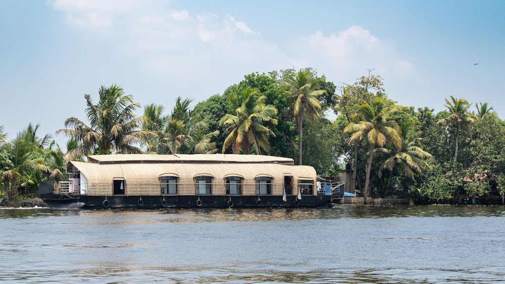 A houseboat on water surrounded by palm trees.