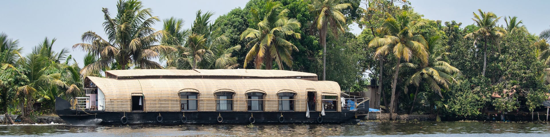 A houseboat on water surrounded by palm trees.