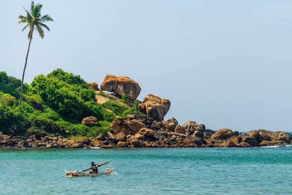 Une côte rocheuse, avec un palmier et une personne qui rame sur un bateau.