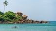 A rocky coastline with a palm tree and a person paddling a boat.