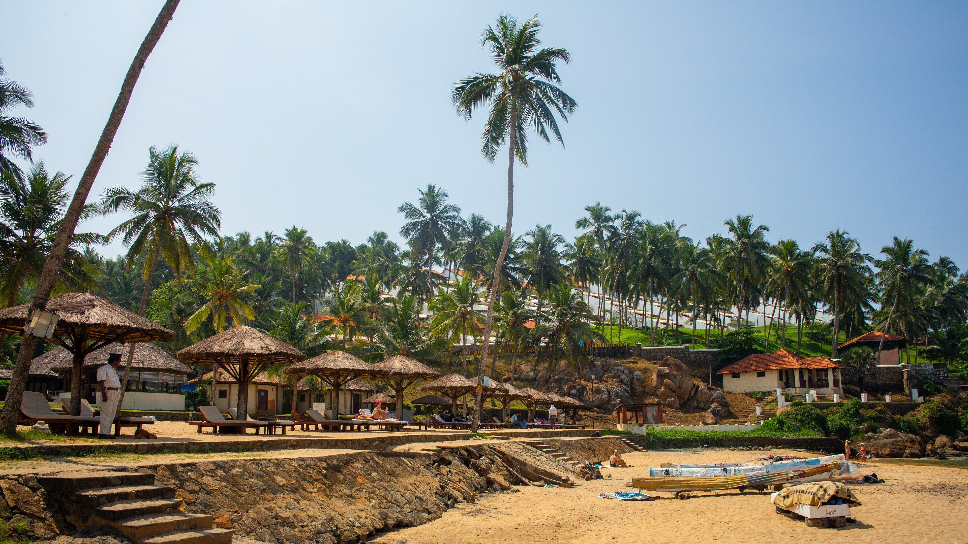 A beach with thatched umbrellas, palm trees, and a sandy shore with boats.