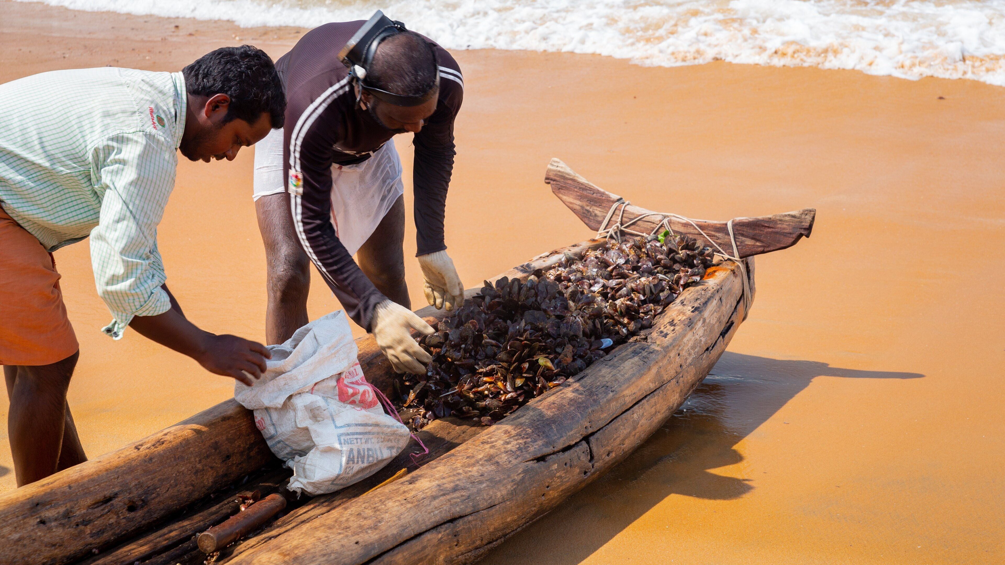 Playa Kovalam ofreciendo una playa de arena y también un pequeño grupo de personas