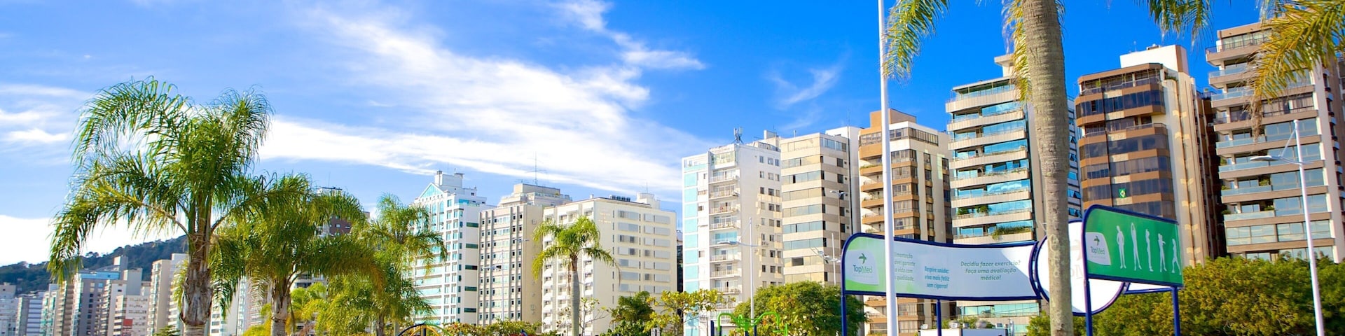Florianopolis showing tropical scenes and a garden