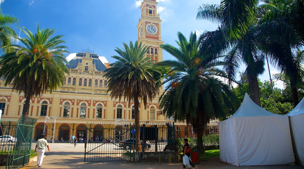Itajai featuring street scenes, heritage architecture and a city