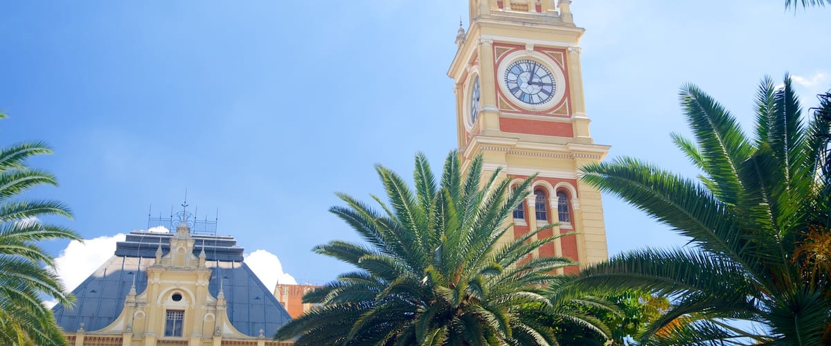 Itajai featuring a church or cathedral, religious elements and a city
