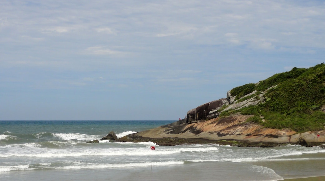 #SaoFranciscoDoSul #SantaCatarina
São Francisco do Sul é a cidade mais antiga do Estado de Santa Catarina e a terceira cidade mais antiga do Brasil. Foi colonizada por Portugueses e Espanhóis. O primeiro índio brasileiro a pisar em solo europeu era daqui. Tem o quinto maior porto do Brasil e no verão é muito procurada pelas suas praias. No Centro Histórico, além de apreciar o casario resultado da colonização portuguesa, vale a pena fazer uma visita à Igreja Matriz Nossa Senhora da Graça, ao Mercado Municipal de 1900 e ao Museu Nacional do Mar que é o único museu no Brasil de embarcações brasileiras.
São Francisco do Sul is the oldest city in the State of Santa Catarina and the third oldest city in Brazil. It was colonized by Portuguese and Spanish. The first Brazilian Indian to tread on European soil was from here. It has the fifth largest port in Brazil and in the summer is much sought after by its beaches. In the Historic Center, in addition to appreciating the settlement resulting from the Portuguese colonization, it is worthwhile to visit the Mother Church Nossa Senhora da Graça, the Municipal Market of 1900 and the National Museum of the Sea which is the only museum in Brazil of Brazilian vessels.