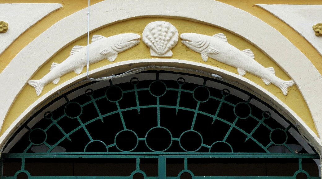 #SaoFranciscoDoSul #SantaCatarina
São Francisco do Sul é a cidade mais antiga do Estado de Santa Catarina e a terceira cidade mais antiga do Brasil. Foi colonizada por Portugueses e Espanhóis. O primeiro índio brasileiro a pisar em solo europeu era daqui. Tem o quinto maior porto do Brasil e no verão é muito procurada pelas suas praias. No Centro Histórico, além de apreciar o casario resultado da colonização portuguesa, vale a pena fazer uma visita à Igreja Matriz Nossa Senhora da Graça, ao Mercado Municipal de 1900 e ao Museu Nacional do Mar que é o único museu no Brasil de embarcações brasileiras.
São Francisco do Sul is the oldest city in the State of Santa Catarina and the third oldest city in Brazil. It was colonized by Portuguese and Spanish. The first Brazilian Indian to tread on European soil was from here. It has the fifth largest port in Brazil and in the summer is much sought after by its beaches. In the Historic Center, in addition to appreciating the settlement resulting from the Portuguese colonization, it is worthwhile to visit the Mother Church Nossa Senhora da Graça, the Municipal Market of 1900 and the National Museum of the Sea which is the only museum in Brazil of Brazilian vessels.