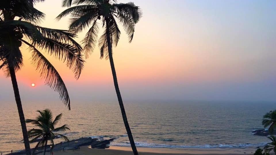 A sunset over a beach with palm trees.