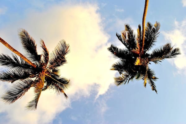 Conveniently hidden away right next to the popular Vagator beach is Ozran or mini Vagator, this little cove can easily come to serve as your own personal beach!
#goldenhour