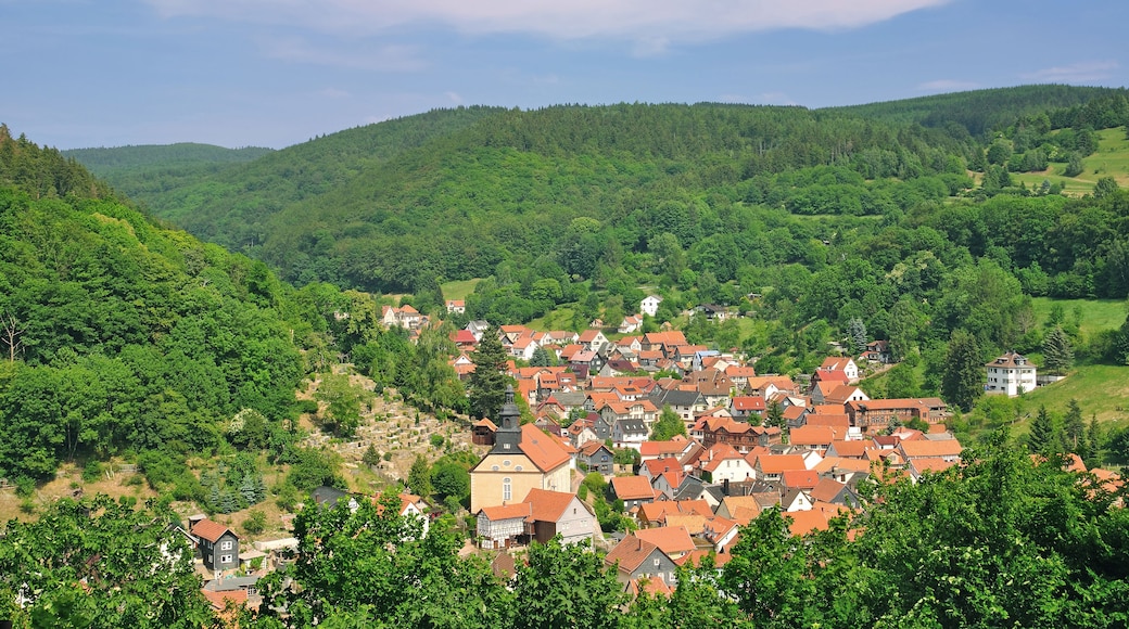 idyllic Village in the thuringian Forest near Oberhof,Thuringia,Germany; Shutterstock ID 96957359