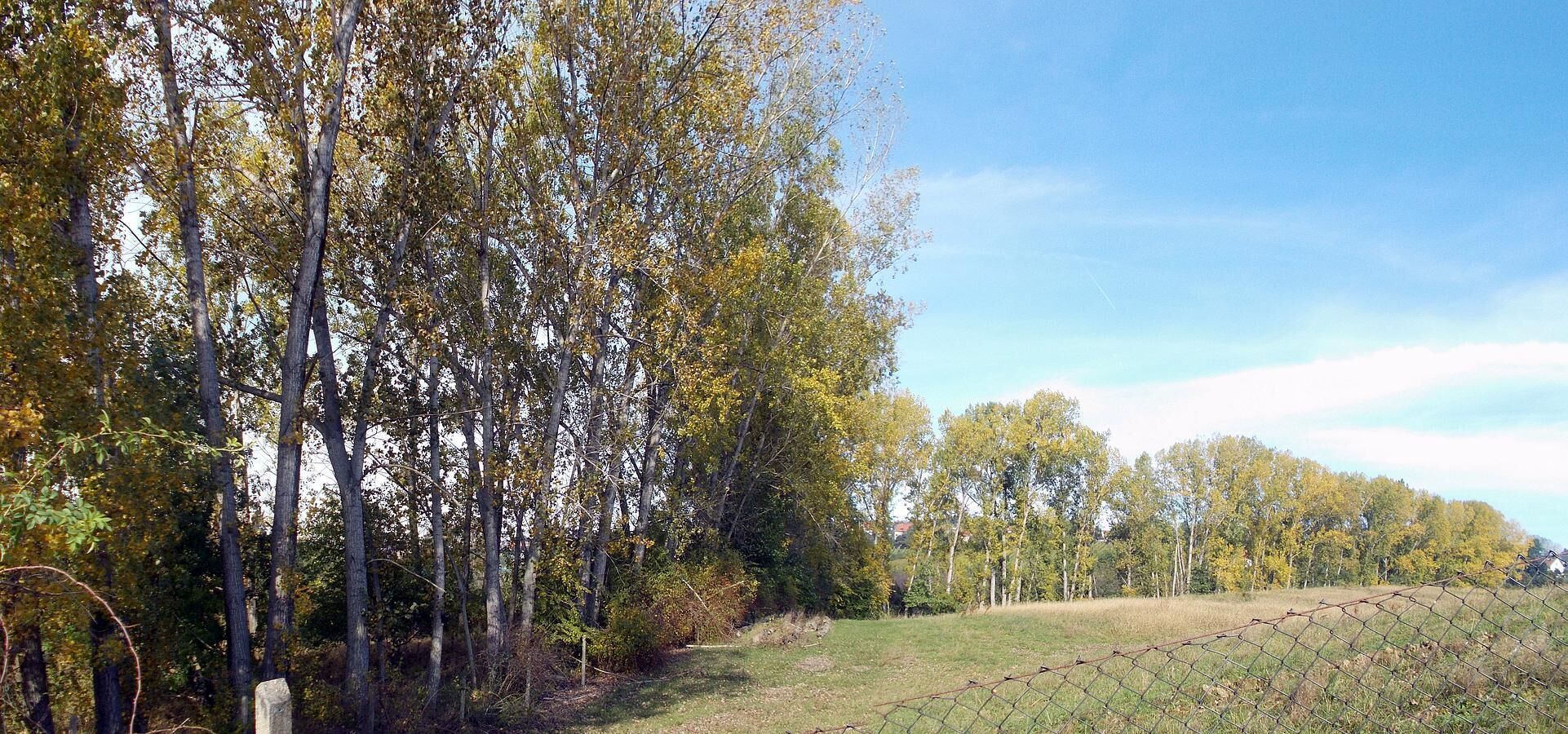 A rural landscape with a field, trees, and a clear sky.