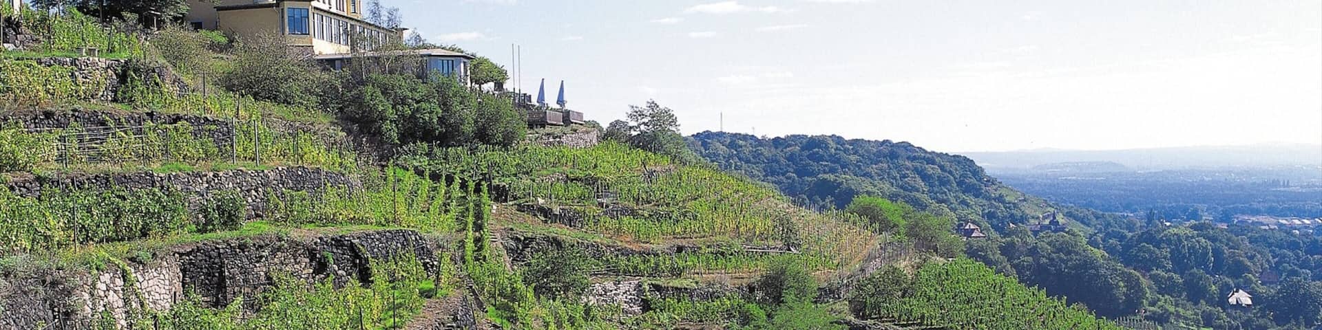 Radebeul mettant en vedette panoramas, éléments religieux et patrimoine architectural