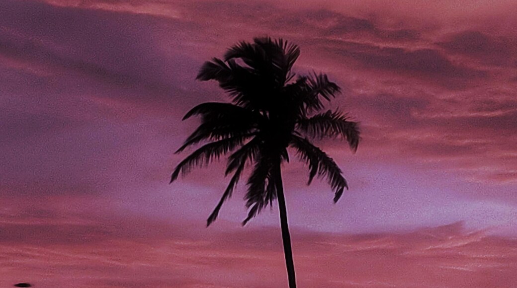 Colva Beach - A beautiful beach situated in the village of Salcete, South Goa. This photograph of dawn in the beach is its actual colour.
#colvabeach #beaches #dawn #goabeaches #goatourism
#Incredibleindia