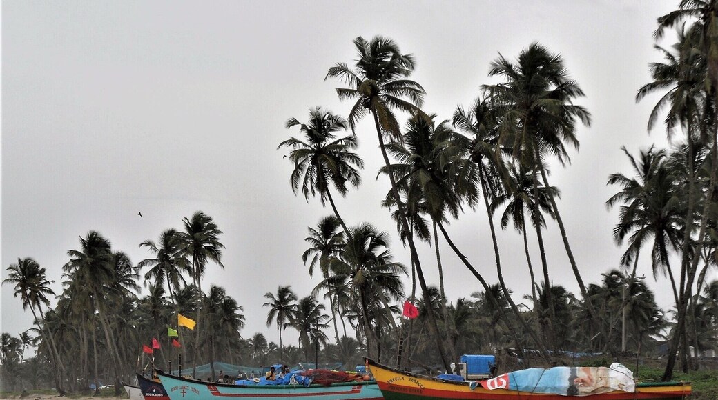 Colva beach is one of the many beaches in Goa, the latter a very popular tourist destination in India for those who love beaches. The beach offers sports like speed boat riding, parasailing, jet skiing, paragliding, and so much more. Tip: Lots of activities to do near and around the beach. There are restaurants that offer Goan food with its Portuguese/Spanish influence, bars, with music and dancing, and lots of shopping for local dresses, Indian handicrafts, jute products, shoes, souvenirs and a lot more. #BeachTips