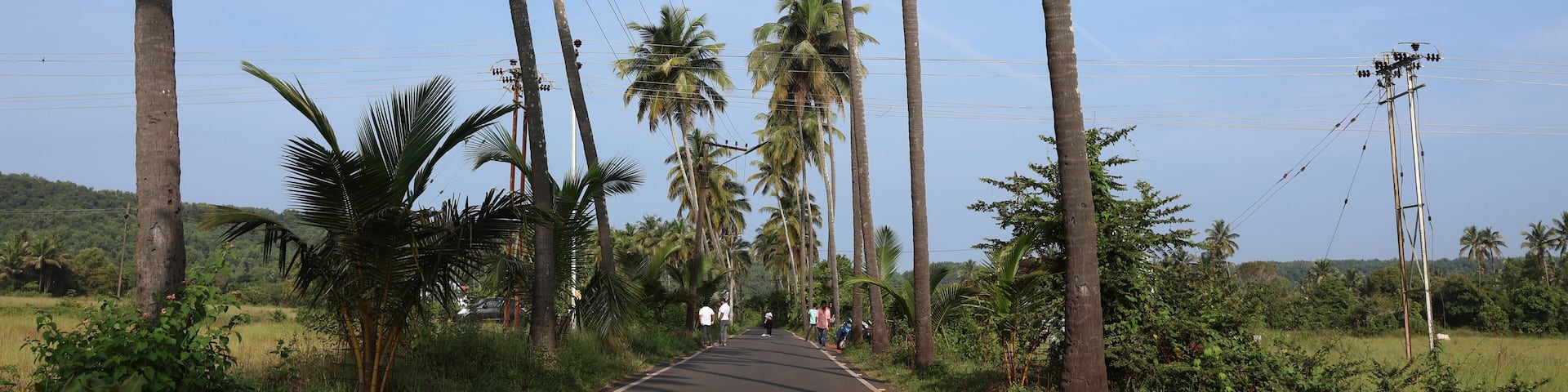 Goa, India 19th October 2022: 4k drone shots of Dear Zindagi Raod known as the Parra coconut tree road, in North Goa. Situated near Mapusa- Calangute road. St. Anne's Church. Goa's Instagram Spot