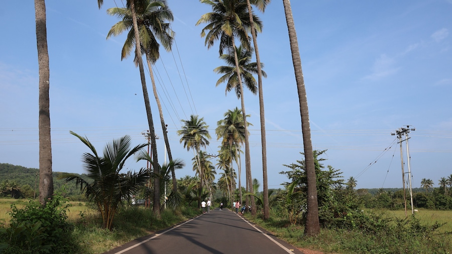 Goa, India 19th October 2022: 4k drone shots of Dear Zindagi Raod known as the Parra coconut tree road, in North Goa. Situated near Mapusa- Calangute road. St. Anne's Church. Goa's Instagram Spot