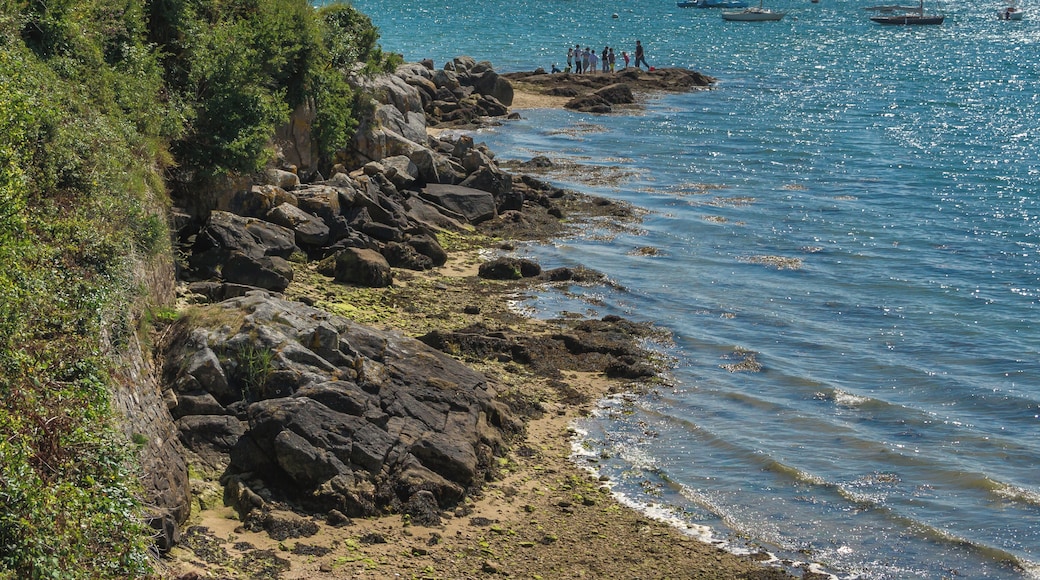 Part of the gulf of Morbihan, from Île aux Moines. France.
