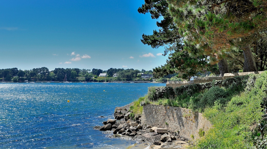 P1YDAW France, Brittany, Morbihan, Ile aux Moines