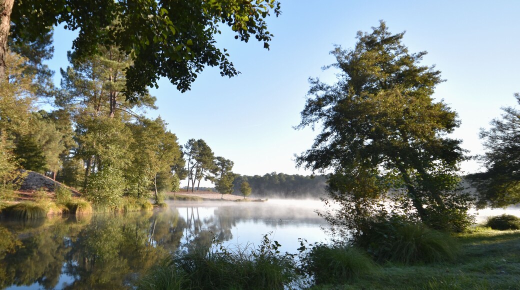 Lac de Clarens (Casteljaloux, Center Parcs, Domaine Les landes De Gascogne, Aquitaine, Sud-Ouest France)