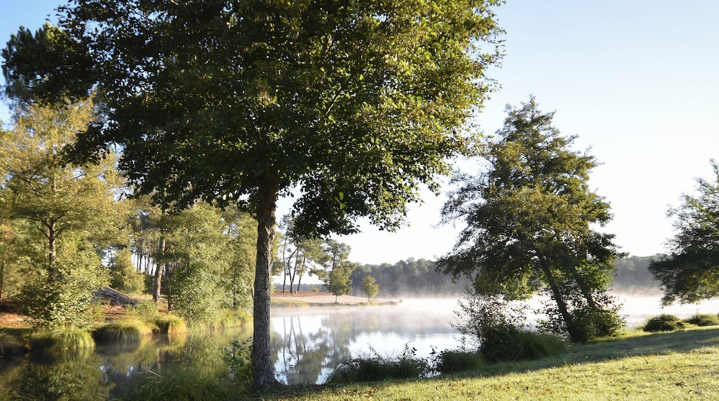 Lac de Clarens (Casteljaloux, Center Parcs, Domaine Les landes De Gascogne, Aquitaine, Sud-Ouest France)