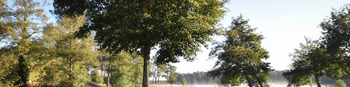 Lac de Clarens (Casteljaloux, Center Parcs, Domaine Les landes De Gascogne, Aquitaine, Sud-Ouest France)