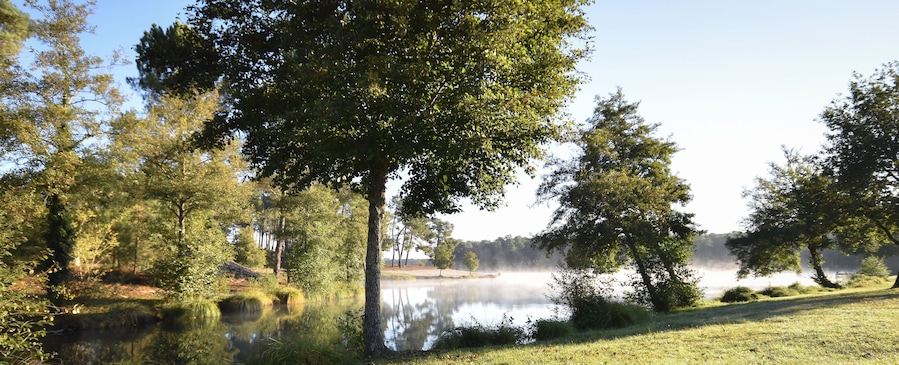 Lac de Clarens (Casteljaloux, Center Parcs, Domaine Les landes De Gascogne, Aquitaine, Sud-Ouest France)