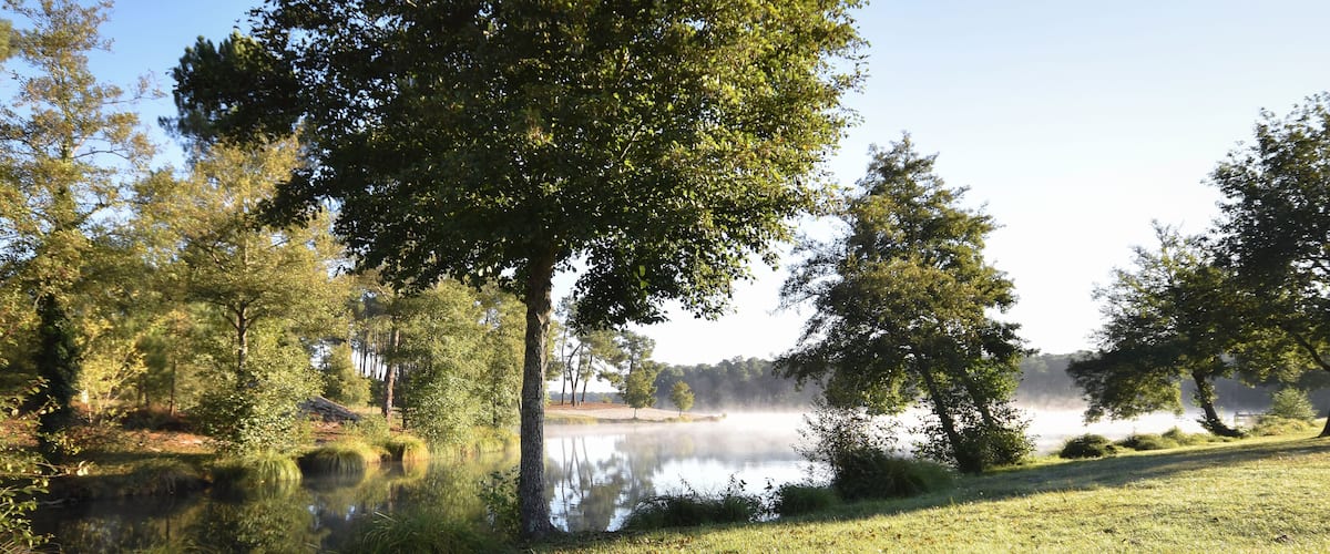 A serene lake surrounded by lush trees and a grassy area.