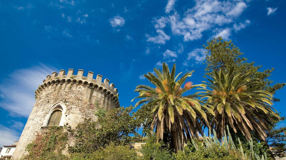 A historic tower with a round tower and arched window, surrounded by lush greenery and palm trees.