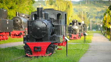 A black and red steam locomotive on tracks with a grassy area and trees in the background.