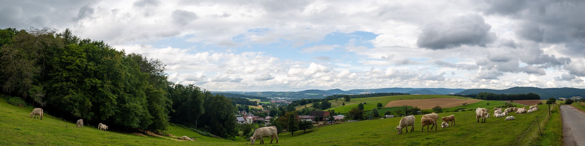 high resolution panoramic images of the Spessart in southern Germany and the Bergiegen area