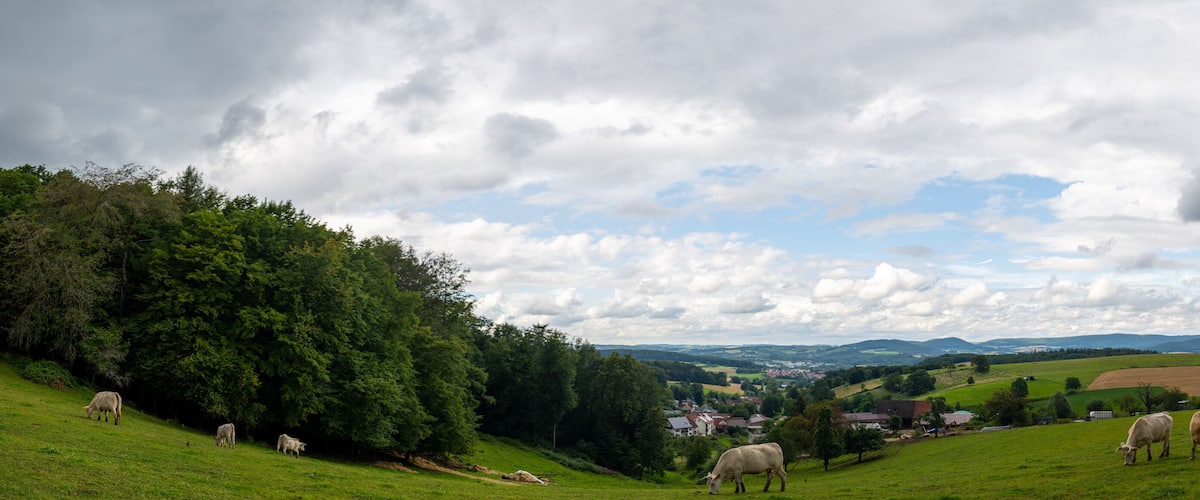 A rural landscape with grazing cows, rolling hills, and a village in the distance.