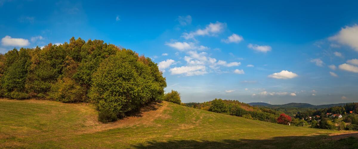 A lush green hill with a dense forest, a clear blue sky, and distant houses.
