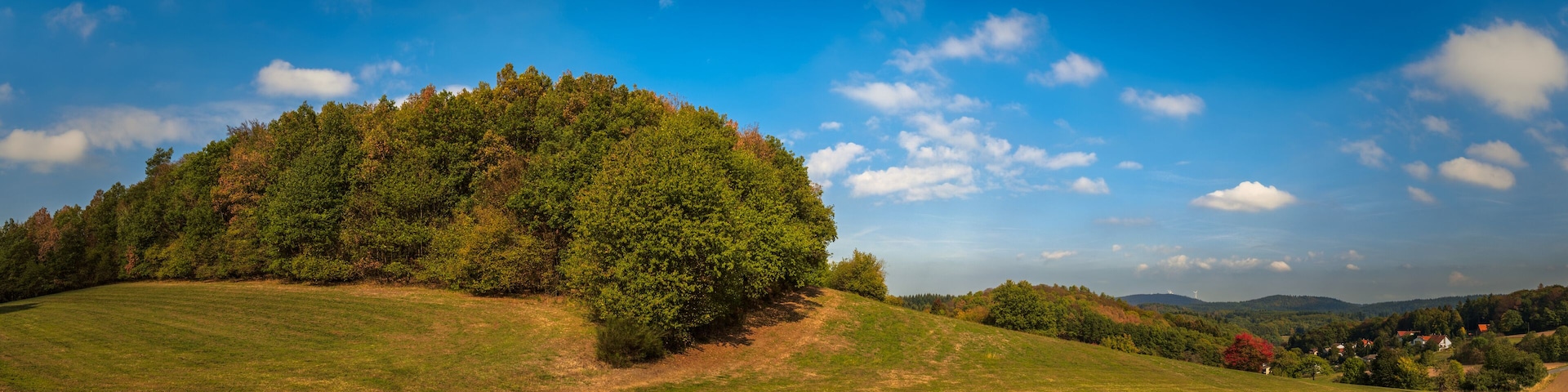 A lush green hill with a dense forest, a clear blue sky, and distant houses.