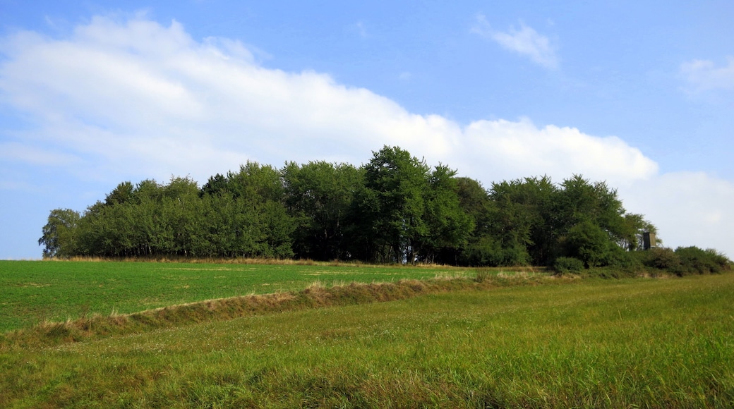 Summit of the Glockert.