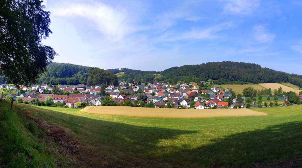 Panoramic view on Waschenbach (2016)