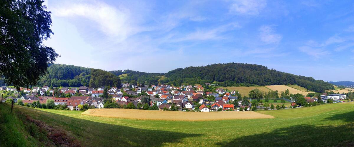 A rural village with houses, fields, and a forested hill in the background.