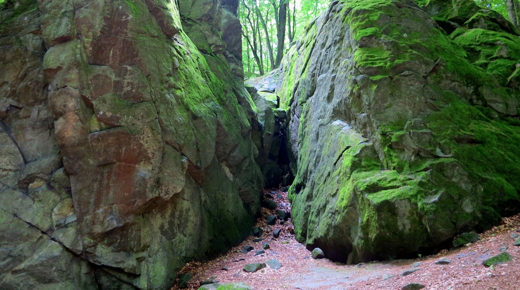 Magnetic stones at the Burg Frankenstein (2016).