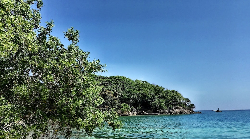 #Island #WhiteSand #Beach #Perfectrion #DreamBeach #IslaPirata