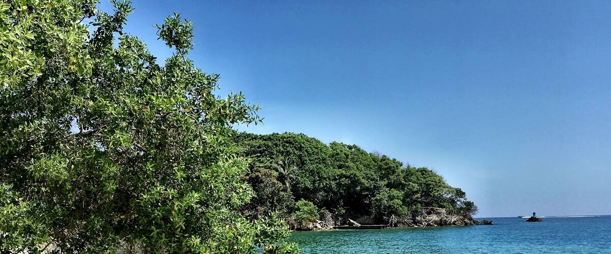 #Island #WhiteSand #Beach #Perfectrion #DreamBeach #IslaPirata