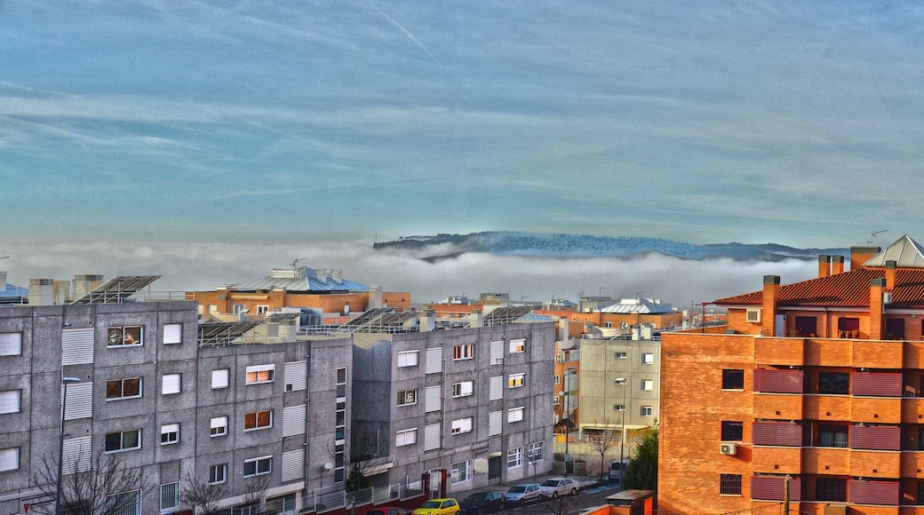 Niebla en el Manzanares