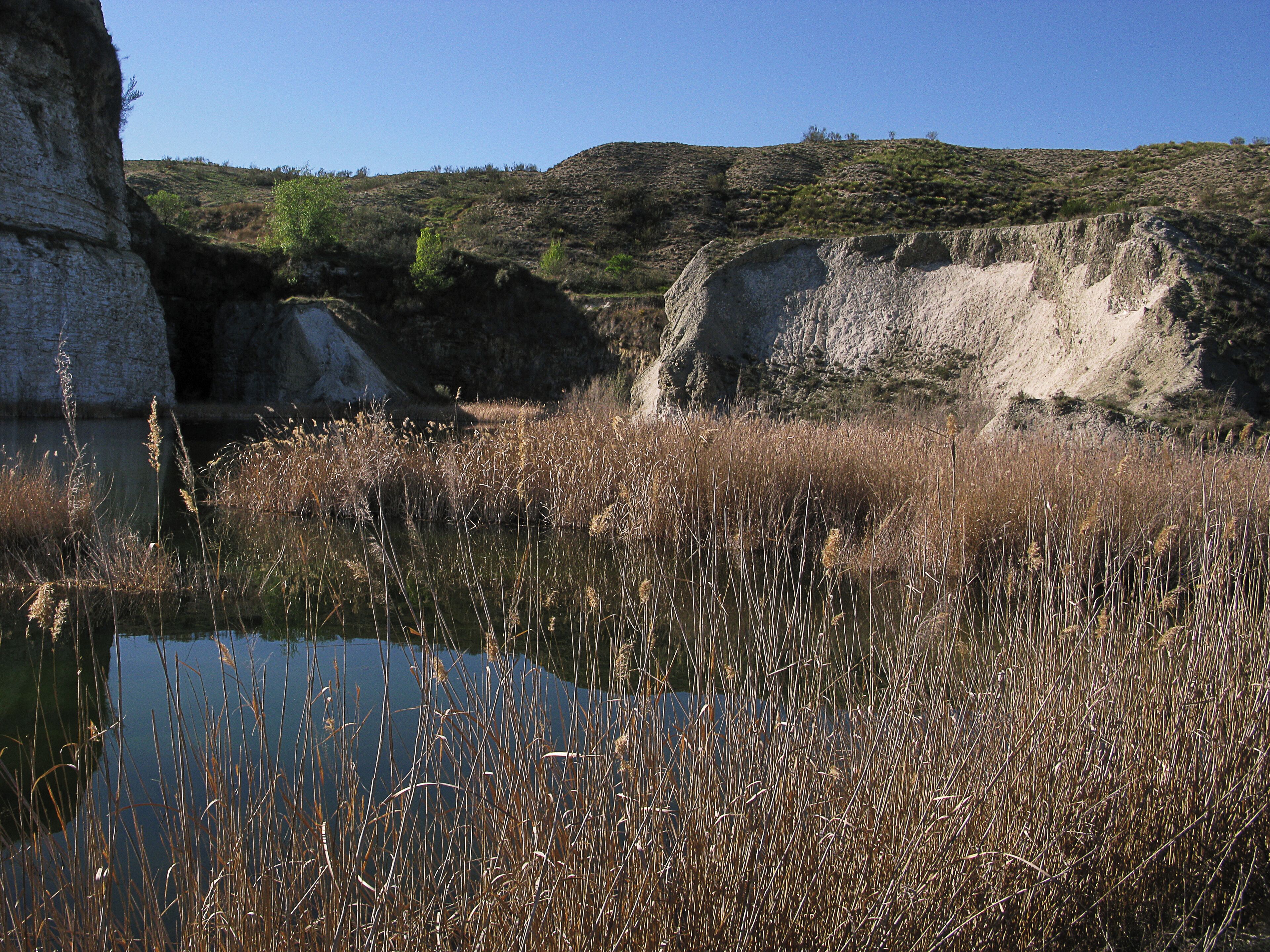 En las llanuras del sur y sudeste, próximas a los cauces de los ríos Jarama, Henares y Manzanares, hay multitud de lagunas. Algunas son naturales y pueden secarse en verano; otras han sido rellenadas por las aguas subterráneas y se han formado como consecuencia de la extracción de áridos y gravas. La caliza madrileña se conoce como “caliza del páramo” y puede presentar diferentes colores o tonos. Se utiliza como piedra de construcción y para la obtención de cal Esas lagunas son de gran importancia ecológica ya que en sus márgenes crece la vegetación palustre (carrizos, juncos y espadañas), que sirve de refugio y descanso a muchas aves migratorias